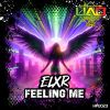 Download track Feeling Me (Extended Mix)