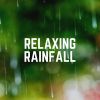 Download track Refreshing Rain