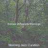 Download track Wondrous Peaceful Mornings