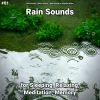 Download track Rain Sound Effect For Cats