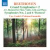 Download track Beethoven Symphony No. 6 In F Major, Op. 68 Pastoral (Arr. J. N. Hummel For Flute & Piano Trio) IV. Thunderstorm