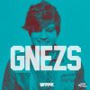 Download track GNEZS (Look Project DJ Remix)