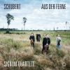 Download track Lied Aus Der Ferne, D. 107 (Arr. X. Van Dijk For String Quartet)