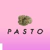 Download track Pasto