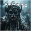 Download track The Path To Valhalla