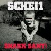 Download track Snakk Sant!