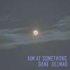 Download track AIM AT SOMETHING (Extended Mix)