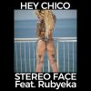 Download track Hey Chico