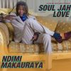 Download track Ndimi Makauraya