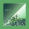 Download track Spider Plant (Sunday Glaze Remix)