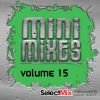 Download track Hot Tracks Dance Mini Mix # 4 (Select Mix Mini Mix)