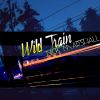 Download track Wild Train