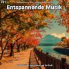 Download track Entspannende Musik Pt. 31