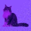 Download track Suave Music For Comfy Cats