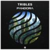 Download track Pandora