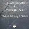 Download track Those Chilly Tracks (Radio Edit)