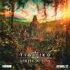 Download track Temple Of Sins