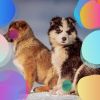 Download track Hip Cute Dogs