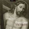 Download track Via Crucis, S. 53 VIII. Station VII. Jesus Fällt Zum Zweiten Mal (Live)