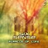 Download track The Miracle Of Life