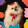 Download track Festive Backdrops For Well Trained Dogs