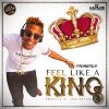 Download track Feel Like A King