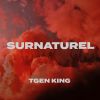 Download track Surnaturel