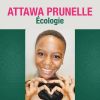 Download track Écologie