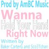 Download track Wanna Hold Your Hand Right Now