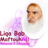 Download track Liqa Bab Maftouh, Pt. 11