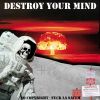 Download track DESTROY YOUR MIND - Troubadour (Reprise Hara Kiri Bordeaux)