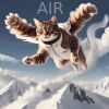 Download track Air