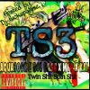 Download track I95 Twinz