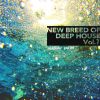 Download track New Breed Of Deep House Mixed By Aiko Morita (Continuous Mix)