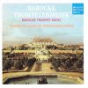 Download track 8. Biber - Balletti In C Major For 2 Trumpets Organ