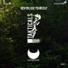 Download track Never Lose Yourself (BBR Retouch Mix)