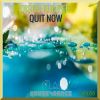 Download track Quit Now (Radio MIx)