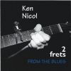 Download track Frets From The Blues