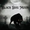 Download track Black Dog Moon