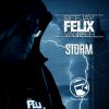 Download track Storm (Extended Mix)