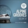 Download track Alpine Grooves Vol. 6 Mixed By Hoody (Continuous DJ Mix)