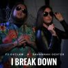 Download track I Break Down