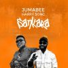 Download track Sankara