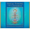 Download track Balancing The Chakras