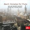 Download track Sonata For Flute And Harpsichord In B Minor, BWV 1030 II. Largo E Dolce