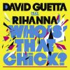 Download track Who's That Chick? (FMIF Dub Remix)