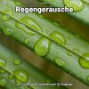 Download track Regengeräusche, Pt. 57