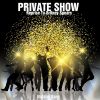 Download track Private Show (Reprise To Britney Spears)