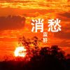 Download track 披着月光