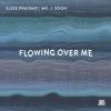 Download track Flowing Over Me (Instrumental)